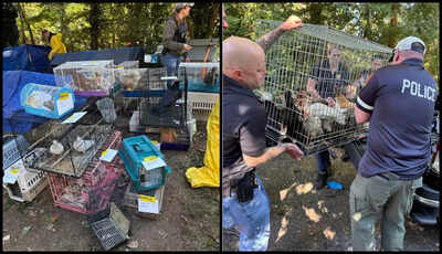 'Deeply distressing': Over 200 animals, elderly woman rescued from New York home; wildlife rehabilitator arrested
