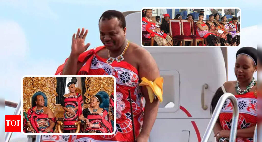 Watch: When African king landed in Abu Dhabi with 15 wives, 30 children and 100 attendants; Viral video resurfaces
