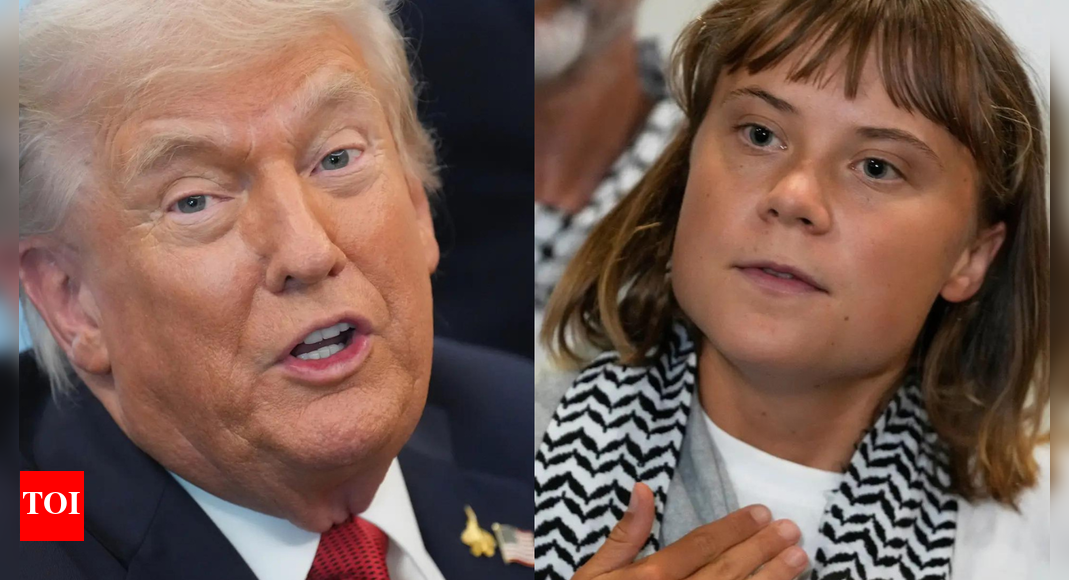 ‘So angry, so crazy’: Donald Trump says Greta Thunberg should 'see a doctor'; activists land in Greece after Israel deportation