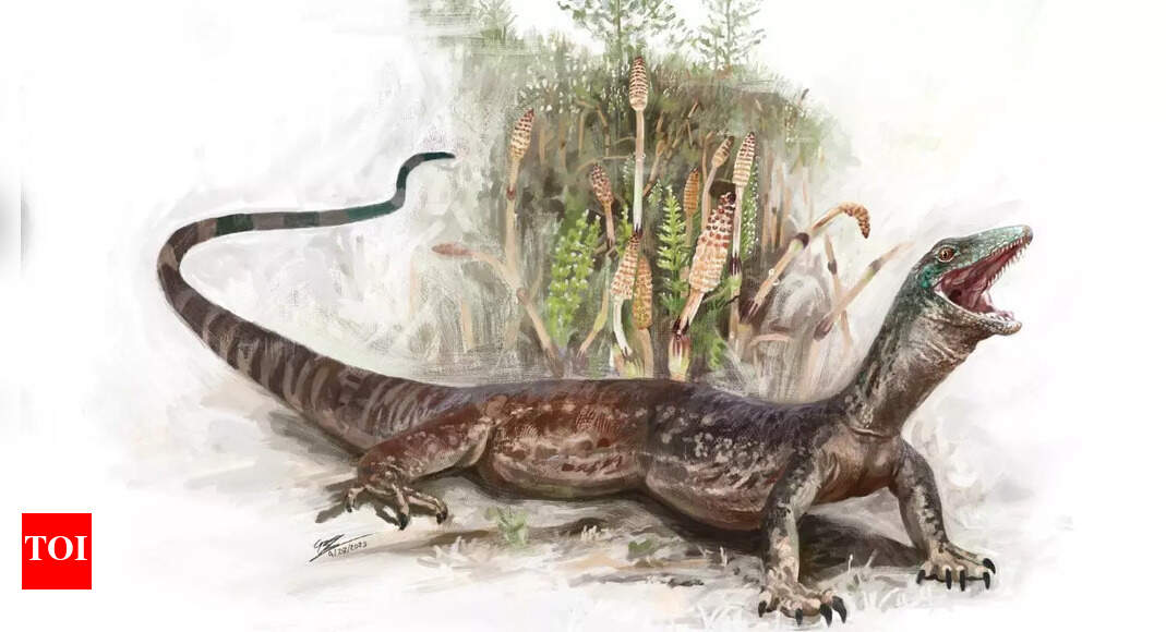 167-million-year-old fossil of Breugnathair elgolensis reveals how snakes first evolved from lizards