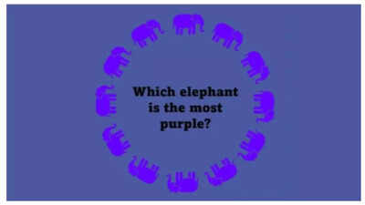 Optical illusion: Which elephant 'appears' the most purple in colour?