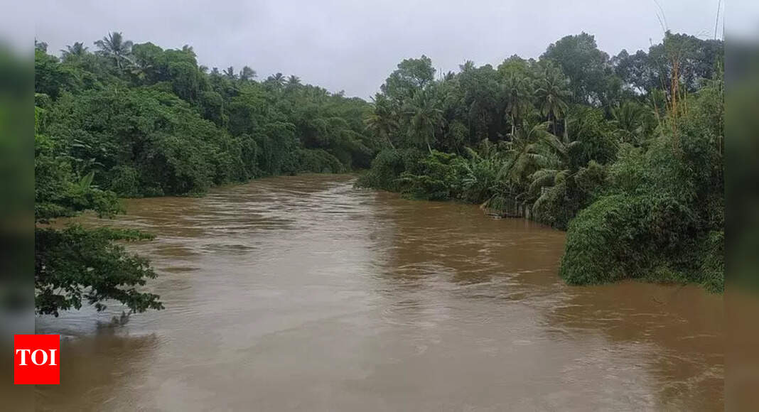 Polluted river stretches in Punjab increased from four in 2018 to five in 2022 with rising bod levels