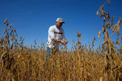 'Big measures': US plans $10 billion aid to support farmers; 'give some tariff money to farmers'