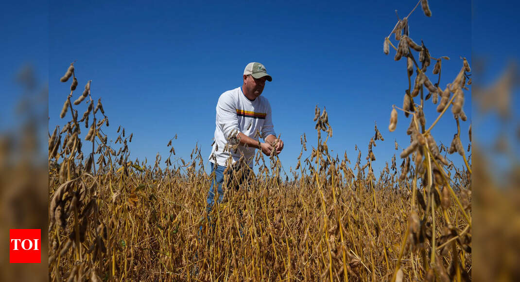 'Big measures': US plans $10 billion aid to support farmers; 'give some tariff money to farmers'