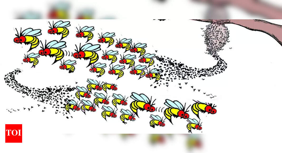 Tragic bee attack claims Life of Bhuyan tribal man in Keonjhar ...