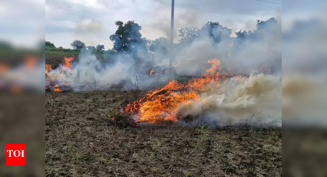 Distressed farmer burns 8-acre soyabean crop | Nagpur News - The Times ...