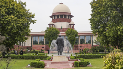 'Targets, vilifies and demonises Muslims': Supreme Court to examine if BJP video attracts hate speech FIR