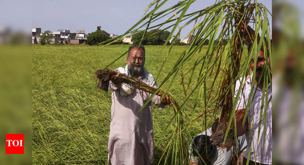 Flood-hit farmers in Maha to get Rs 31k crore