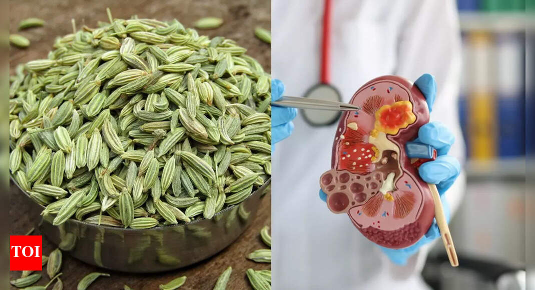 Fennel seeds for kidney health: How saunf detoxifies, reduces inflammation, and protects your kidneys naturally