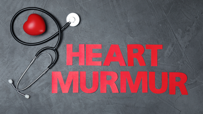 When should one be concerned about a heart murmur? Warning signs to notice