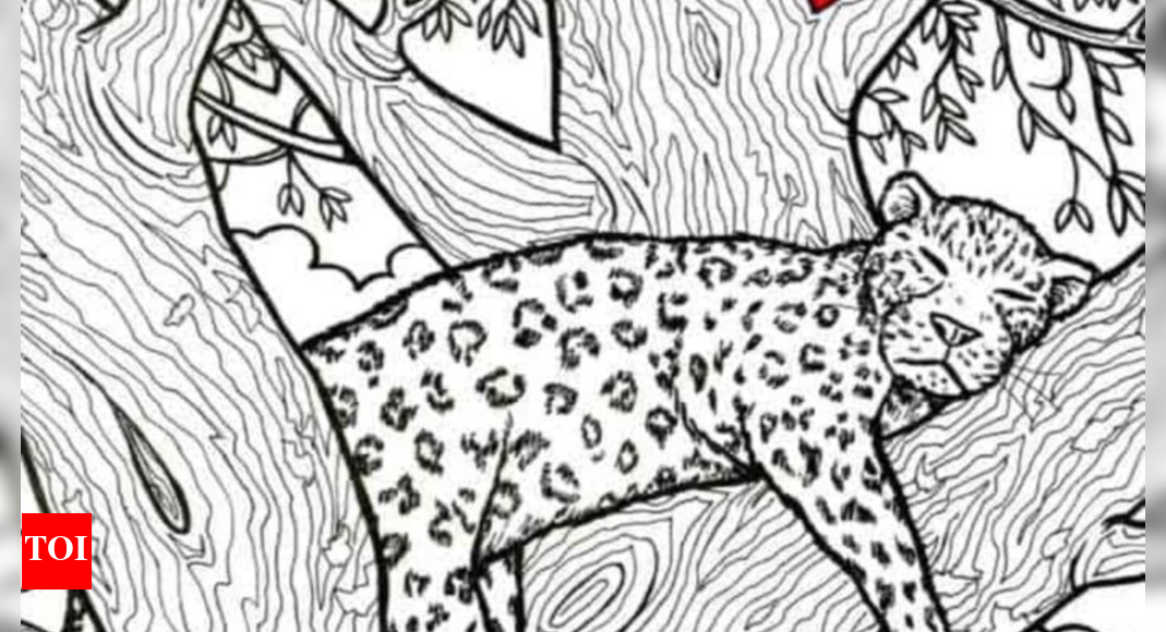 Optical illusion: Only an eagle-eyed person can spot the fish in 10 seconds