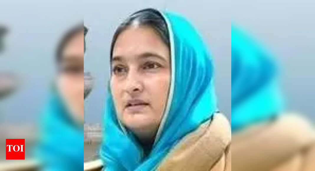 The Times of India - Politics - News Image