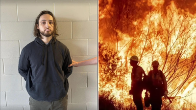‘Are you at fault if your cigarette ... ’: Man arrested over LA fire asked ChatGPT; generated AI image