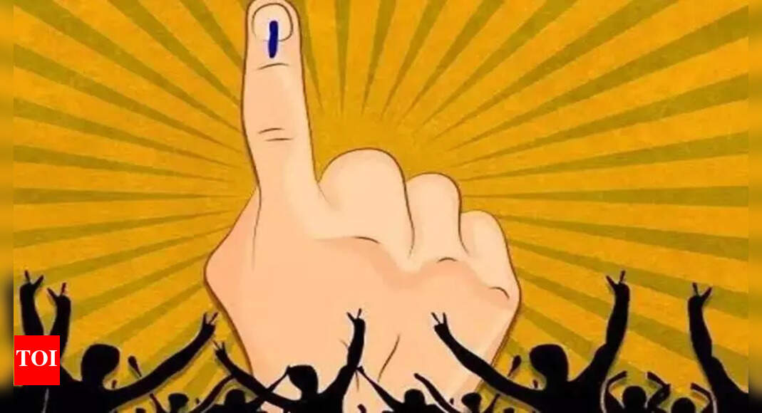 The Times of India - Politics - News Image