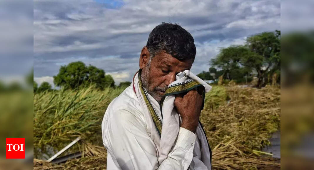 The Times of India - Business - News Image