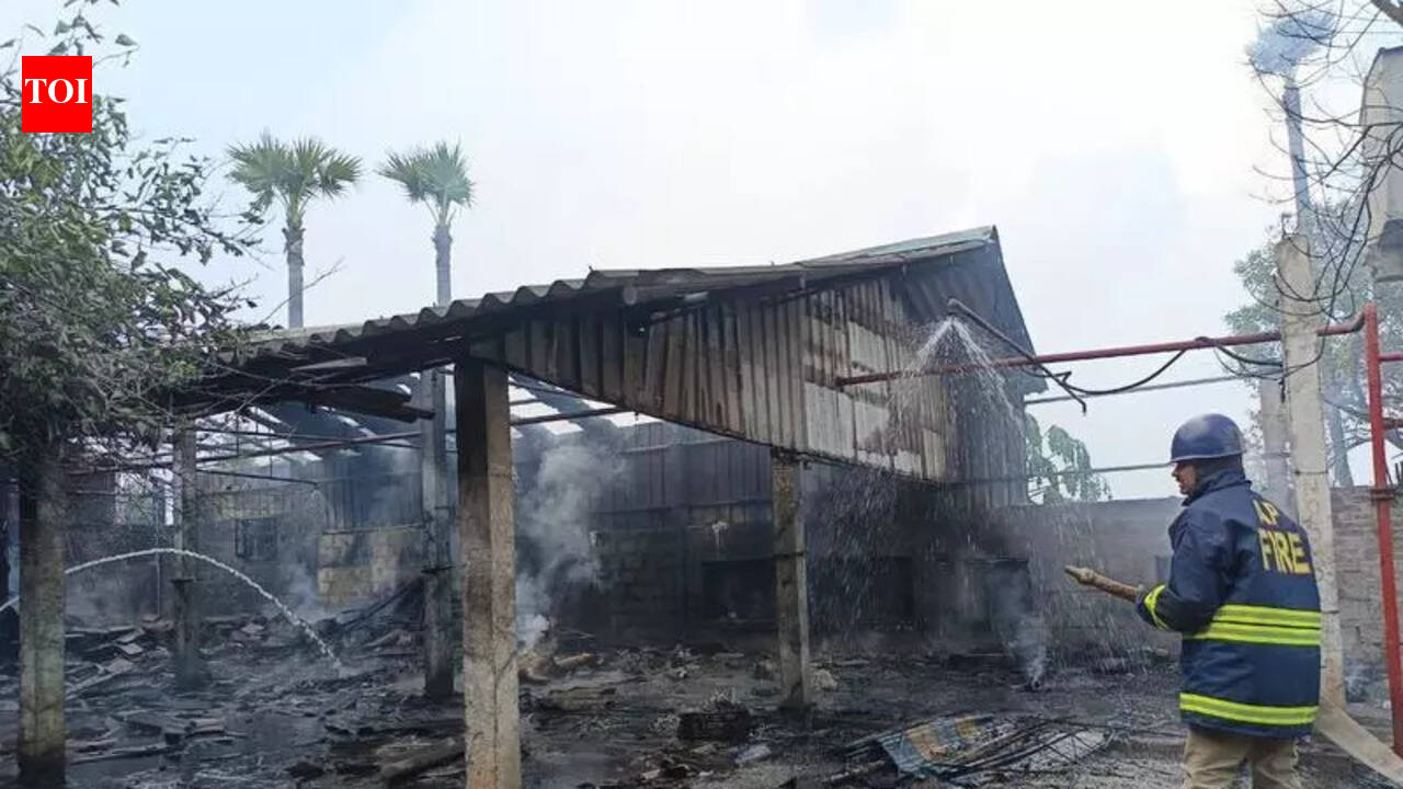 Seven killed in blast at firecracker unit in Andhra Pradesh’s Konaseema ...