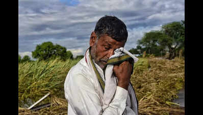 Govt relief to flood-hit farmers not enough to recover huge losses: Agri experts