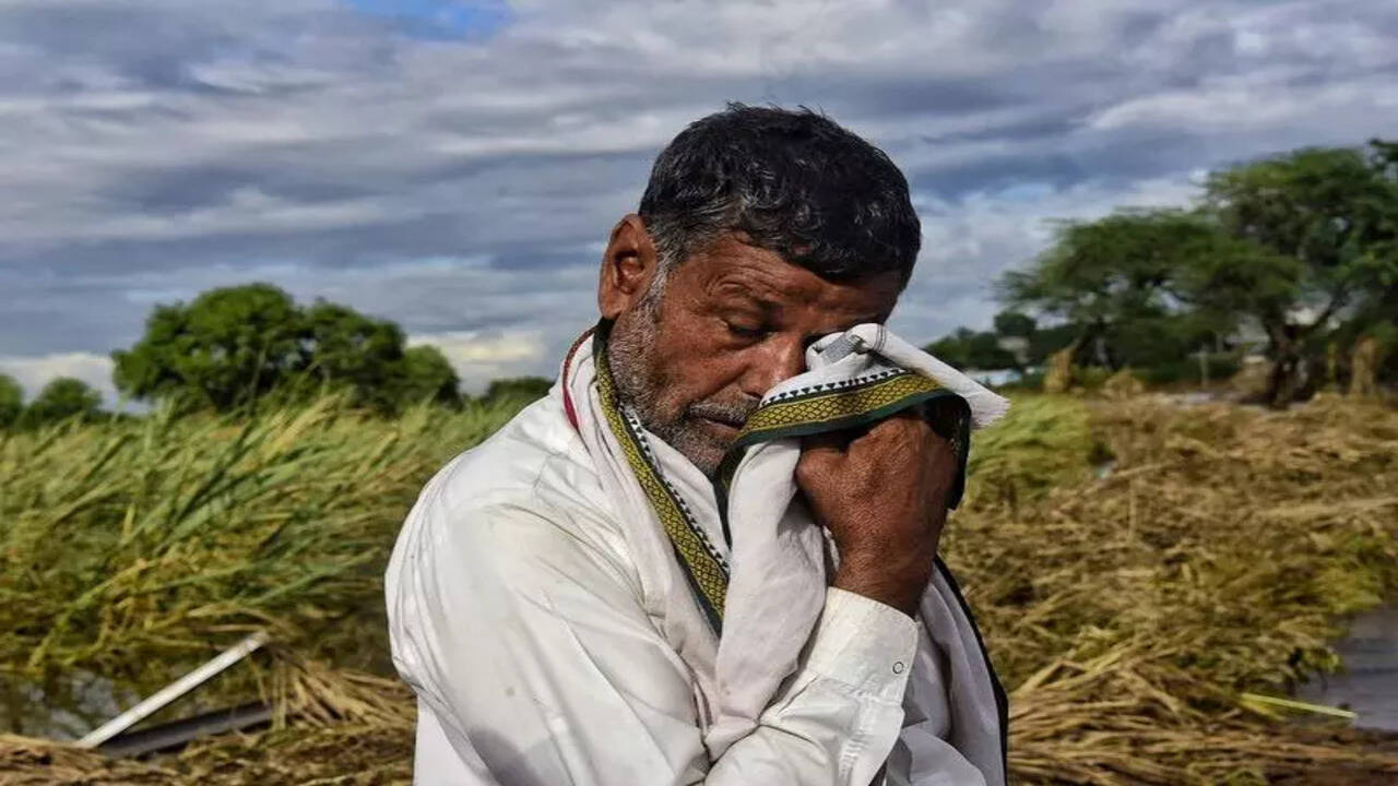 Govt relief to flood-hit farmers not enough to recover huge losses: Agri  experts | Pune News - The Times of India