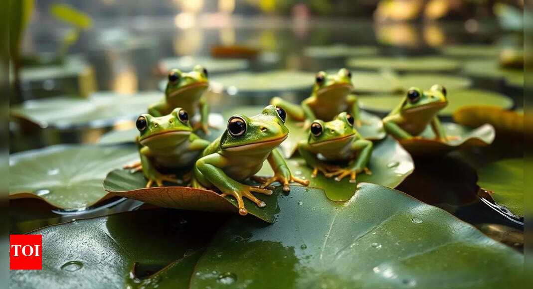 'Strange cure attempt': Chinese woman swallows 8 live frogs for back pain