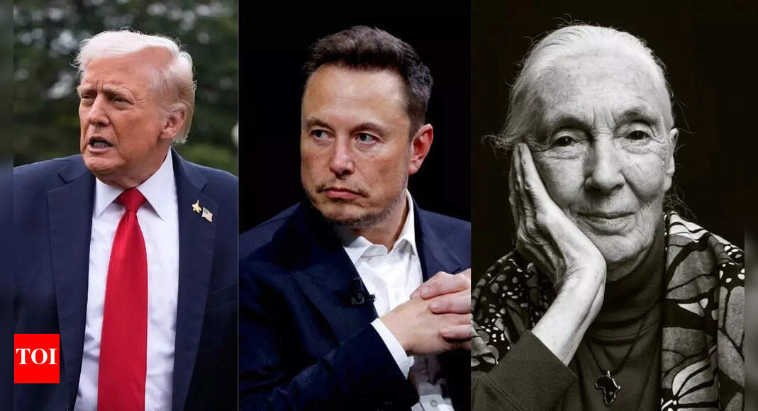 “Send Elon Musk, Donald Trump and Netanyahu to space in a…,” said conservation activist Jane Goodall in her final interview