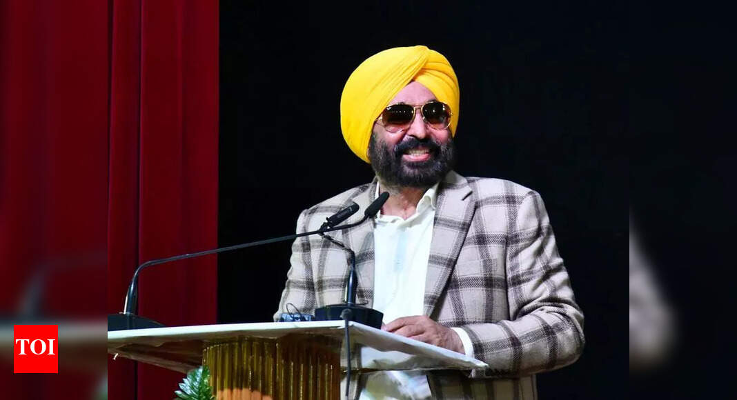 Realty firm gets extension for township in Patiala after returning 60 acres to govt