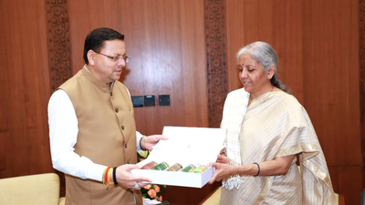 Uttarakhand's urban push: CM Dhami meets FM Sitharaman; seeks support on  key infra projects | Dehradun News - The Times of India
