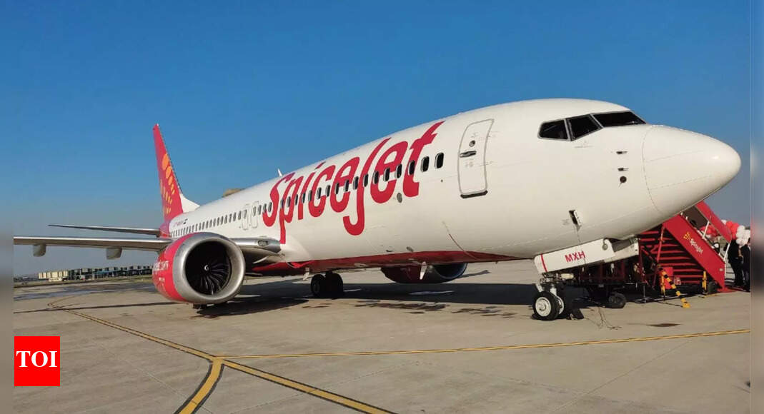 ‘Not a single bag’: SpiceJet Dubai–Delhi flight lands without any passenger luggage; reports claim