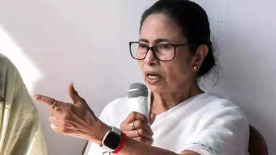 'Our stance clear, detect & deport': BJP slams Mamata over remarks on SIR; accuses CM of 'inciting riots'