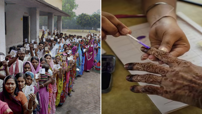 Bihar polls: EC allows 12 alternative documents apart from EPIC for voting; special arrangements for 'purdanasheen'