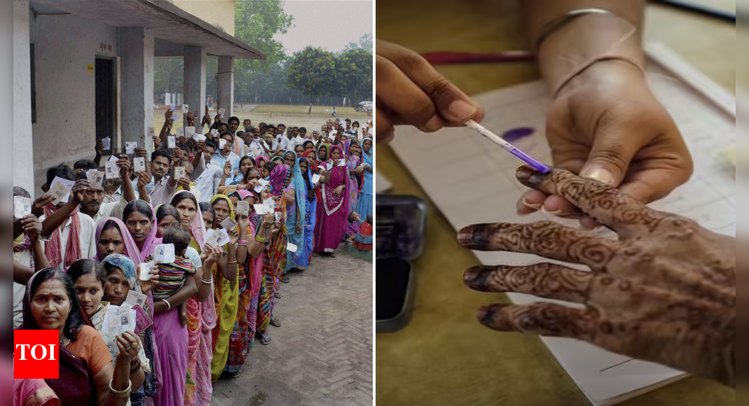 Bihar polls: EC allows 12 docs apart from EPIC for voting; special arrangements for 'purdanasheen'