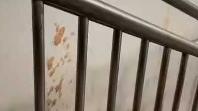 'Kuch toh sharam karlo Bihar walo': Patna metro station filled with gutka stains three days post inauguration; video viral
