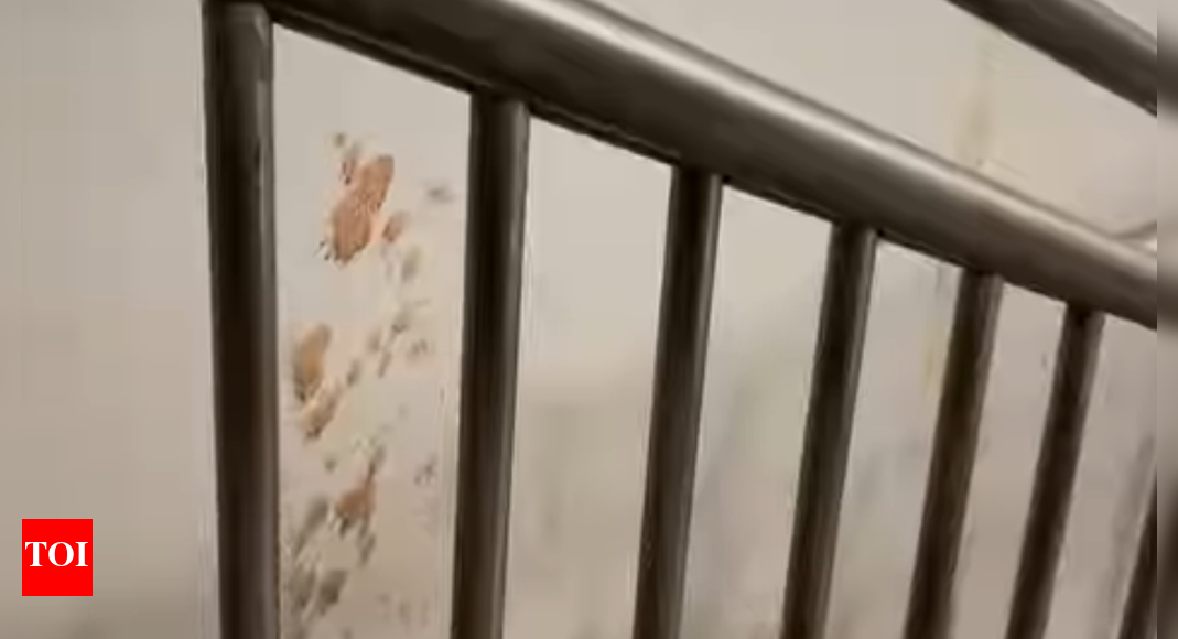 Watch: Patna metro station filled with gutka stains in 3 days