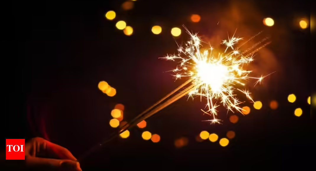 'Let children celebrate': NCR states urge SC to lift ban on crackers