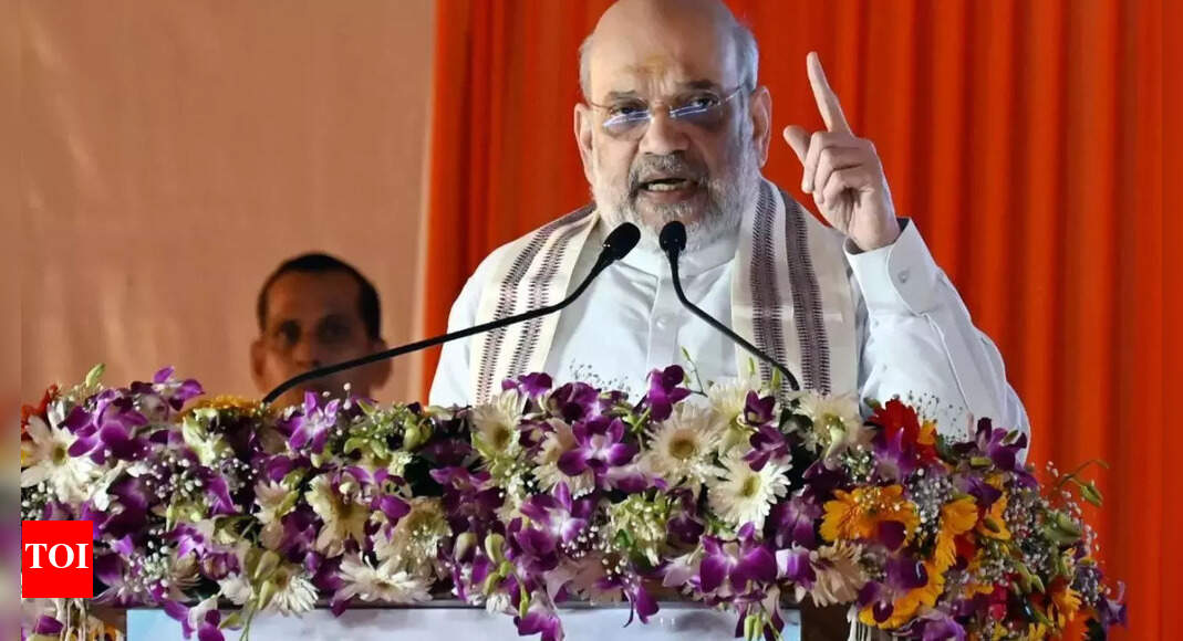 ‘Pak Hindus have rights in India’: Shah defends SIR