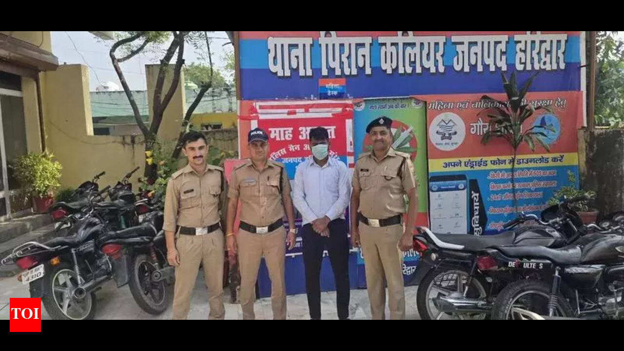 Huge cache of illegal firecrackers seized; one held | Dehradun News - The  Times of India