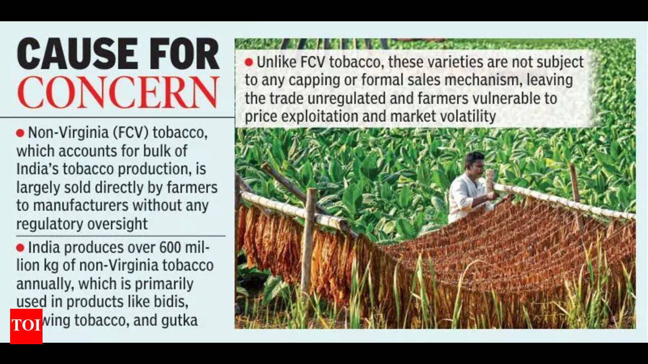 Andhra Pradesh: Tobacco Board plans regulation of non-FCV tobacco growers  for fair pricing | Vijayawada News