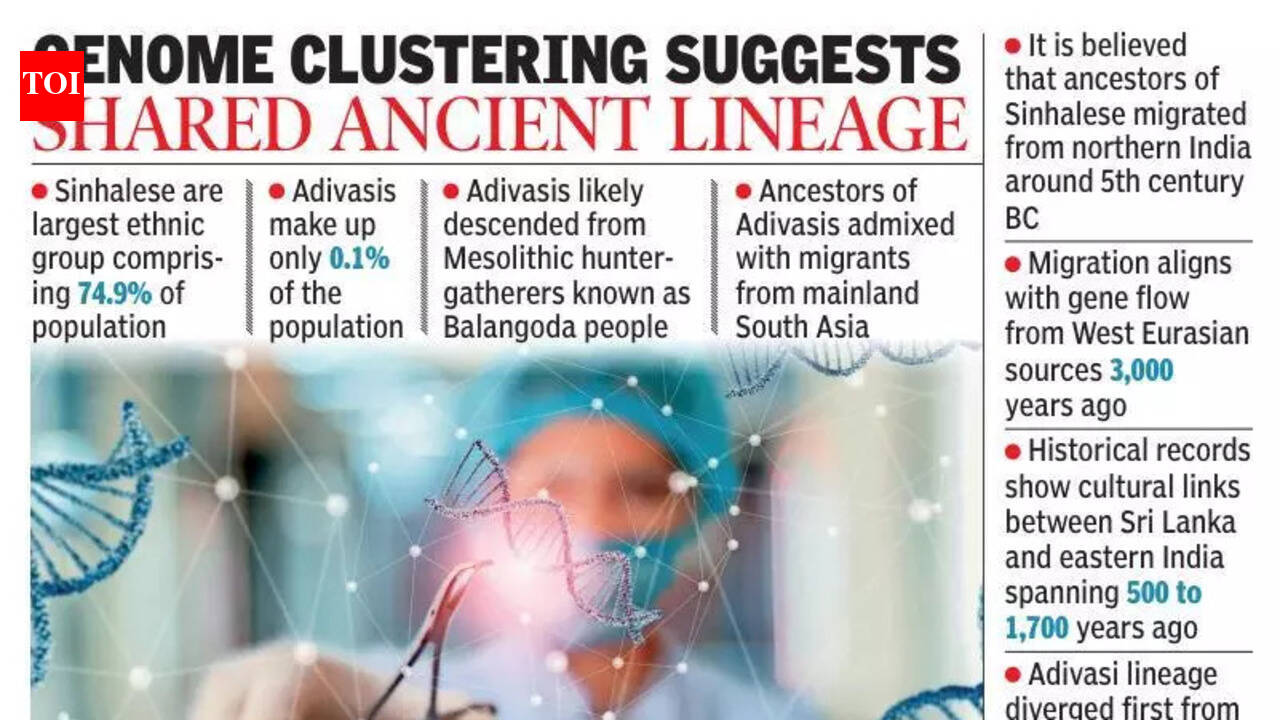 Sinhalese genetically closer to Andhra Pradesh than north India, finds ...