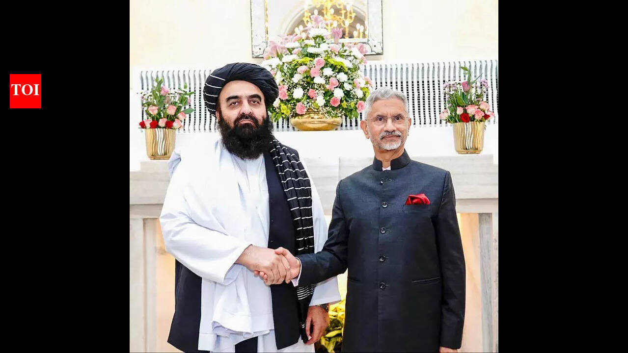 Afghan minister visit sparks hope for trade, medical travel | Chandigarh  News - The Times of India