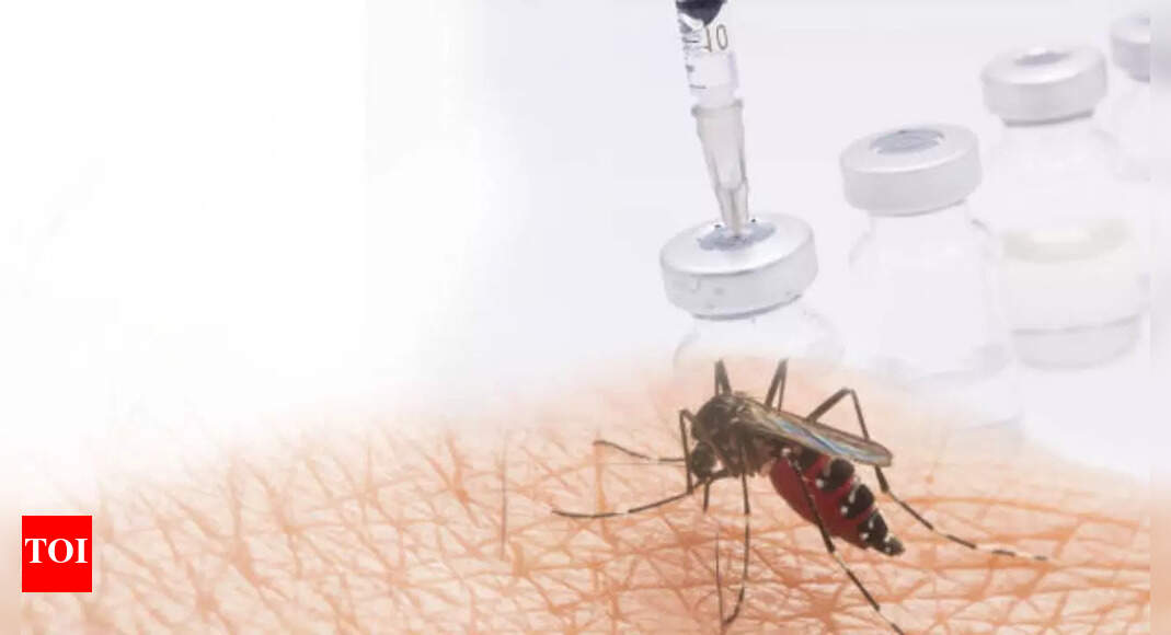 Rift Valley Fever kills 18 in Senegal: What are the symptoms and who is at risk