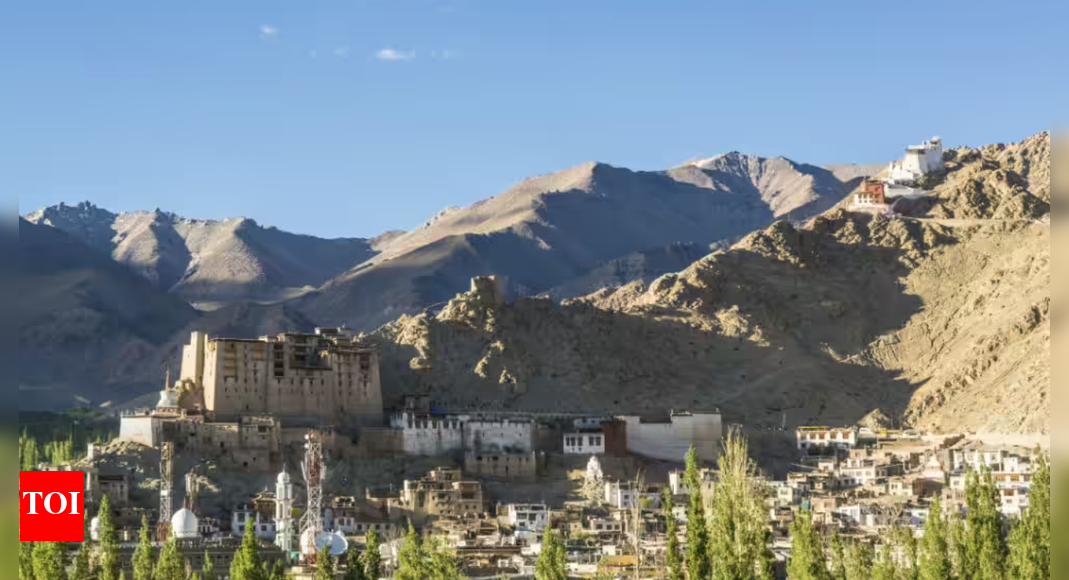 Internet services restored in Leh