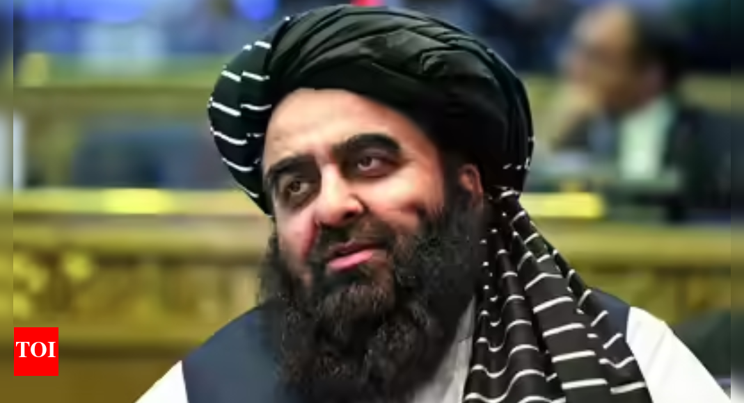 'Benefit all 3 countries': Taliban FM urges India-Pak to Open Wagah Border
