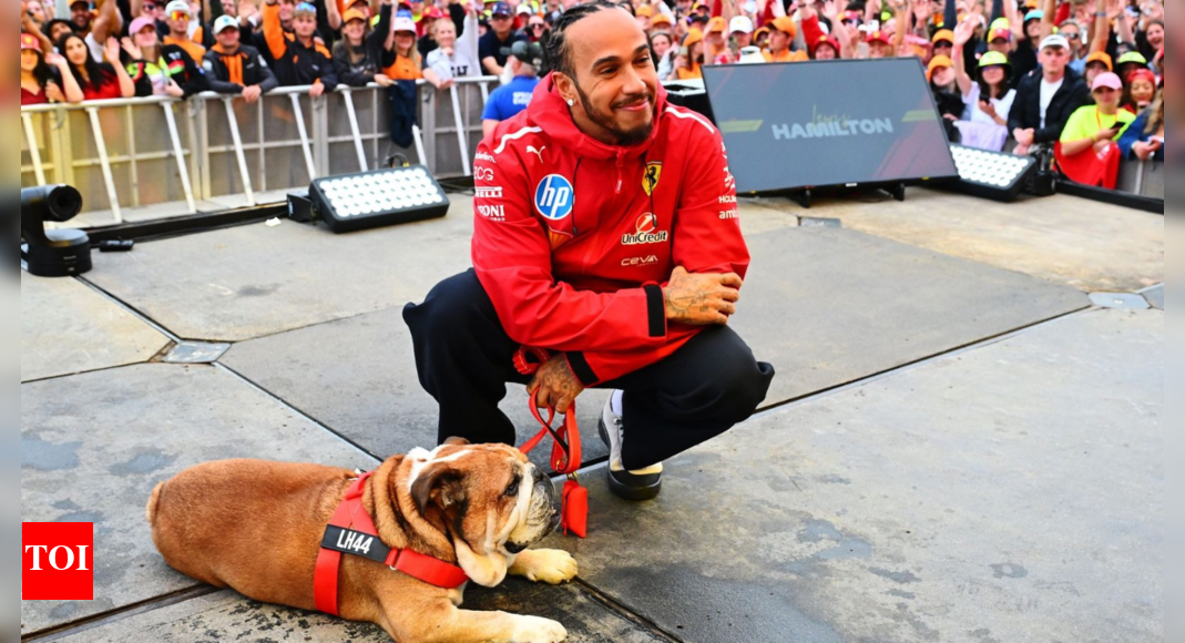 Lewis Hamilton reveals LEGO portrait of his dog Roscoe days after emotional farewell in Italy