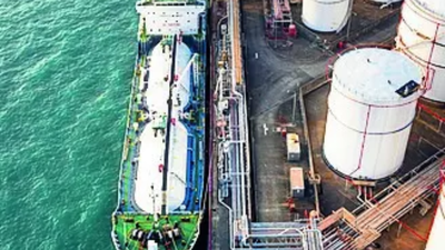 Eight Indians, 10 firms face US sanctions over Iran oil link