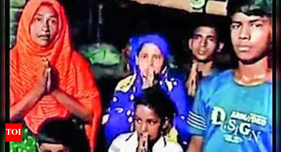 Repatriate pregnant woman: Bangladesh court to Indian mission
