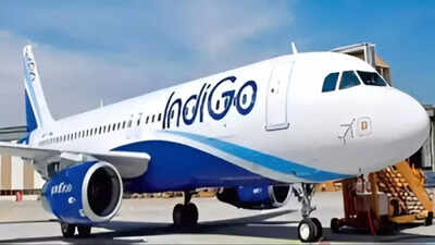 Mid-air drama: Indigo aircraft windshield cracks ahead of arrival in Chennai; probe under way