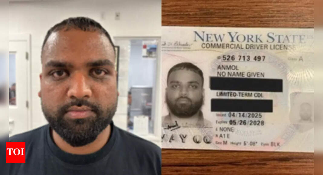 'No name given': After Harjinder Singh, ICE arrests another Indian - What we know so far