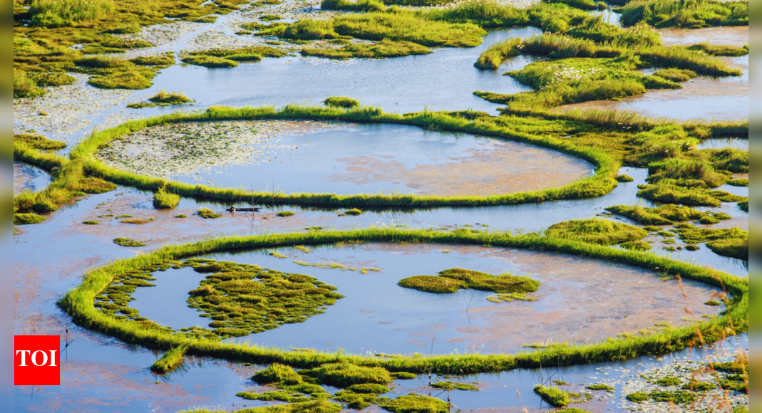 2026 travel trends are out, and this Northeastern city is India’s next big travel crush!