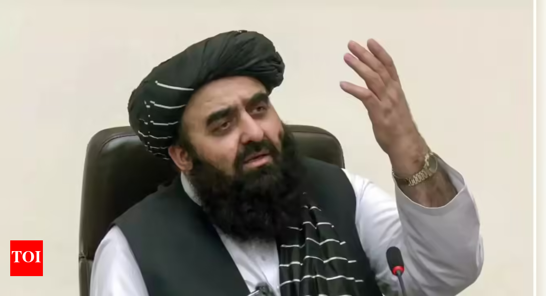 'Done unintentionally':Taliban on excluding women journalists from Muttaqi meet