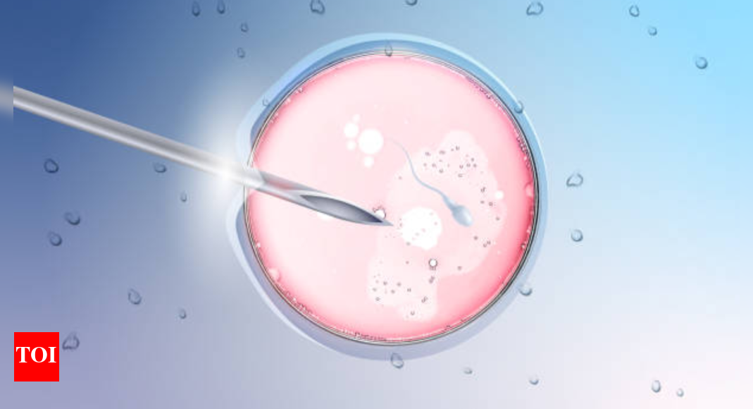 AI 171 crash: UK couple killed as IVF hope soared, embryo preserved in Gujarat