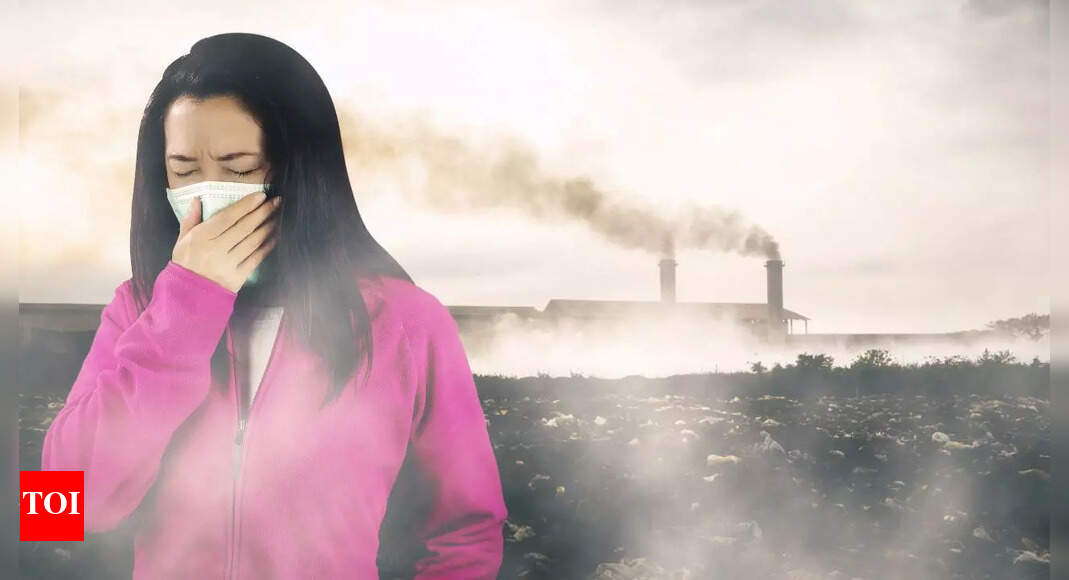 5 superfoods that can protect your lungs from air pollution and boost immunity naturally |